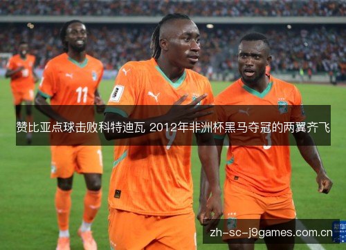 赞比亚点球击败科特迪瓦 2012年非洲杯黑马夺冠的两翼齐飞 赞比亚点球击败科特迪瓦 2012年非洲杯黑马夺冠的两翼齐飞